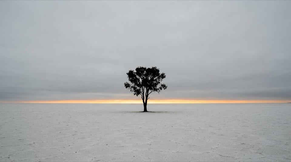 A single [natural element] in a vast empty [environment t…